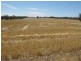 1099 Langley Road, Bordertown SA 5268