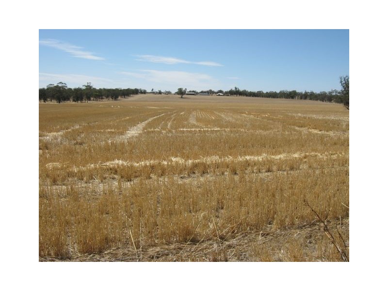 1099 Langley Road, Bordertown SA 5268