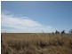 1099 Langley Road, Bordertown SA 5268