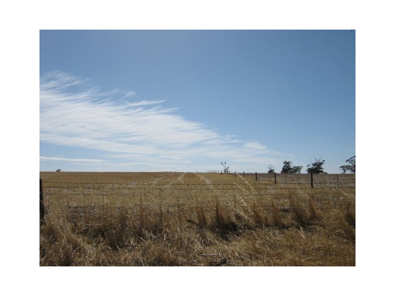 1099 Langley Road, Bordertown SA 5268