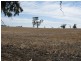 1099 Langley Road, Bordertown SA 5268