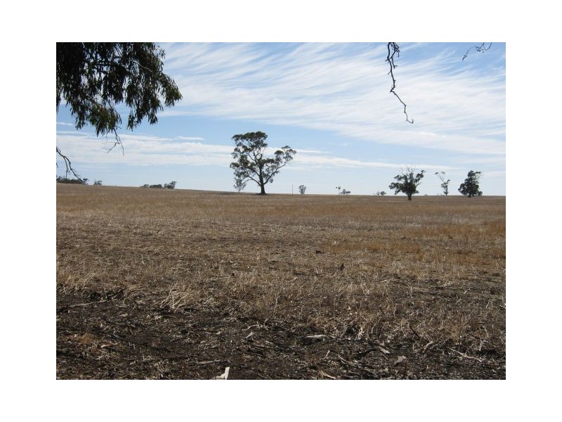 1099 Langley Road, Bordertown SA 5268