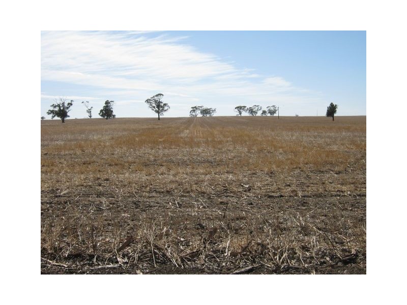 1099 Langley Road, Bordertown SA 5268