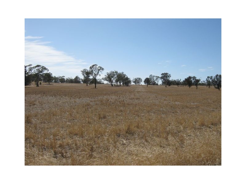 1099 Langley Road, Bordertown SA 5268