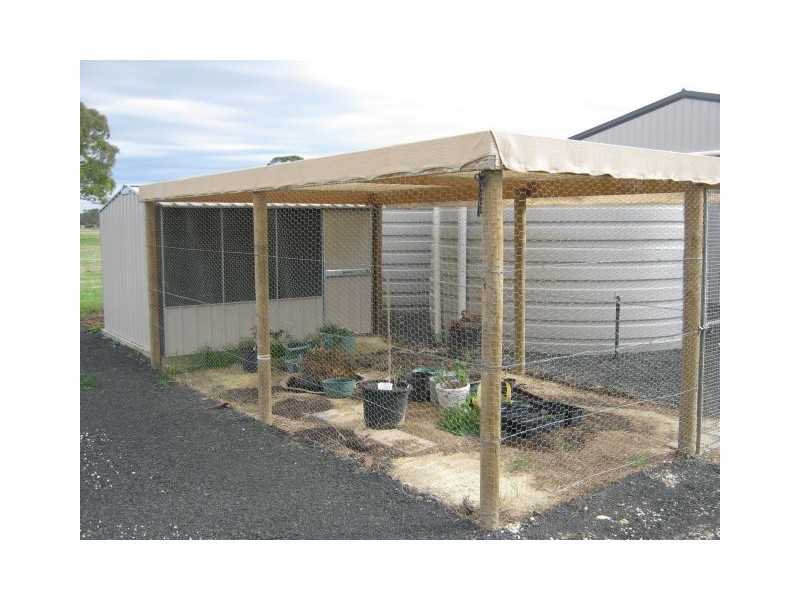 17 Naracoorte Road, Bordertown SA 5268