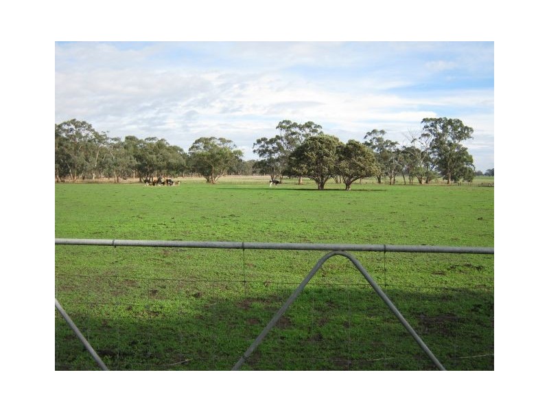 1438 Rowney Road, Mundulla SA 5270