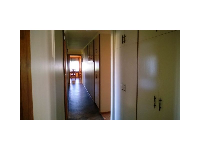 63 Venn Avenue, Bordertown SA 5268