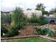 3 Lawrence Street, Keith SA 5267