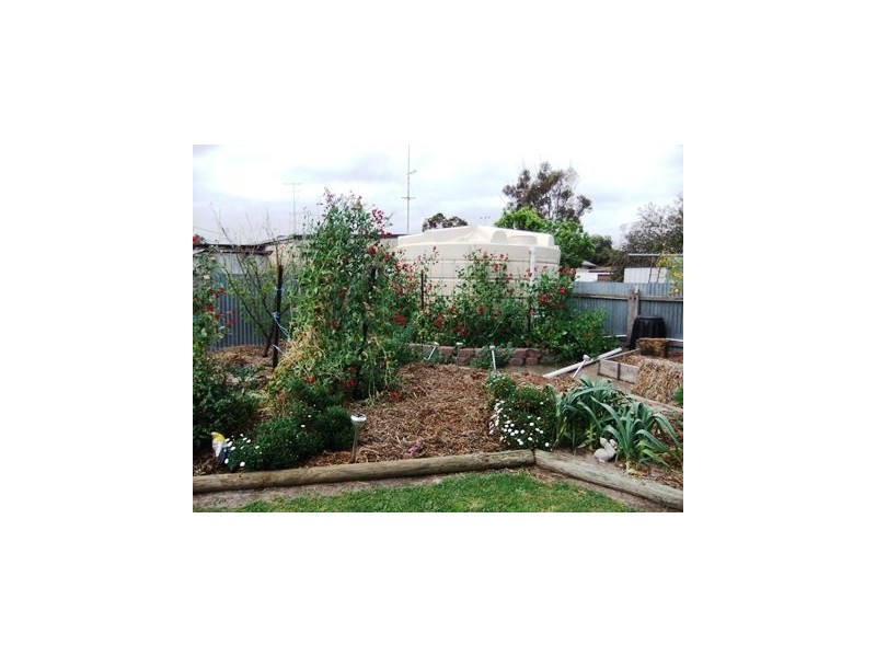 3 Lawrence Street, Keith SA 5267