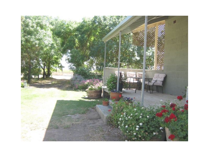 275 Downing Road, Mundulla SA 5270