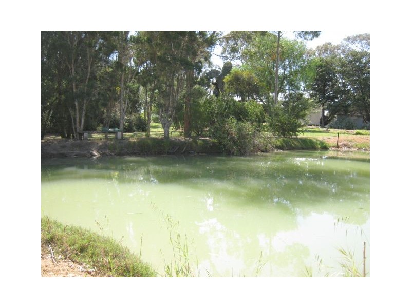 275 Downing Road, Mundulla SA 5270