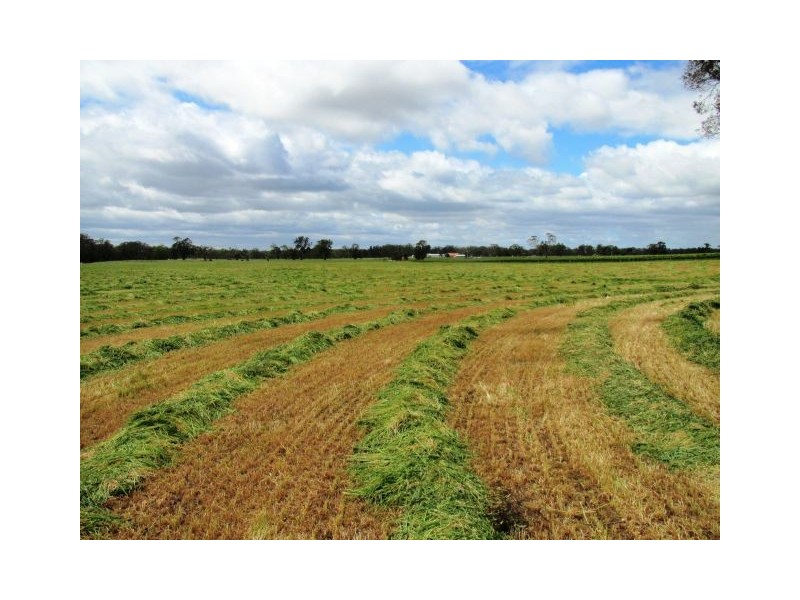 220 acres The Mile Lane, Mundulla SA 5270