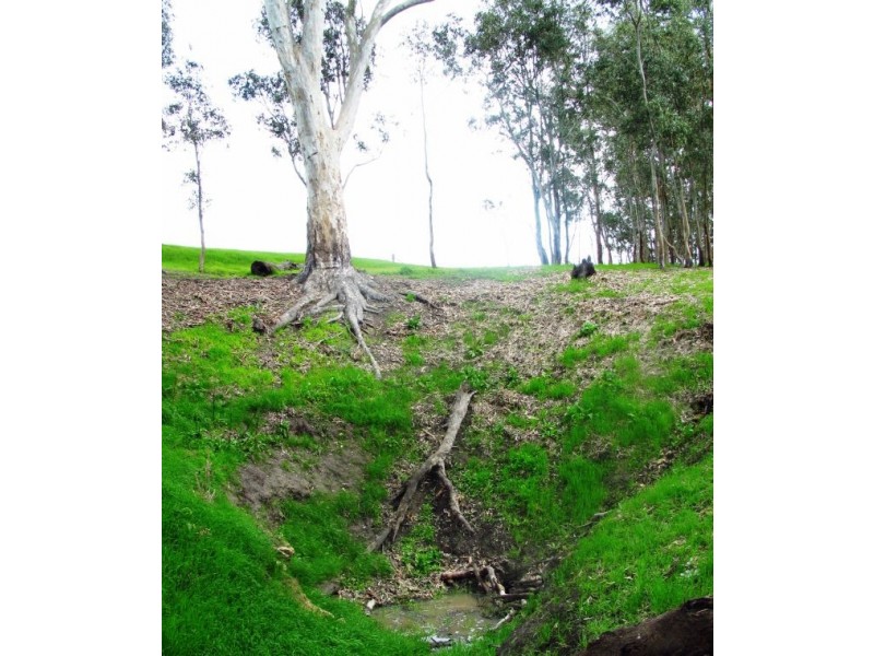 220 acres The Mile Lane, Mundulla SA 5270