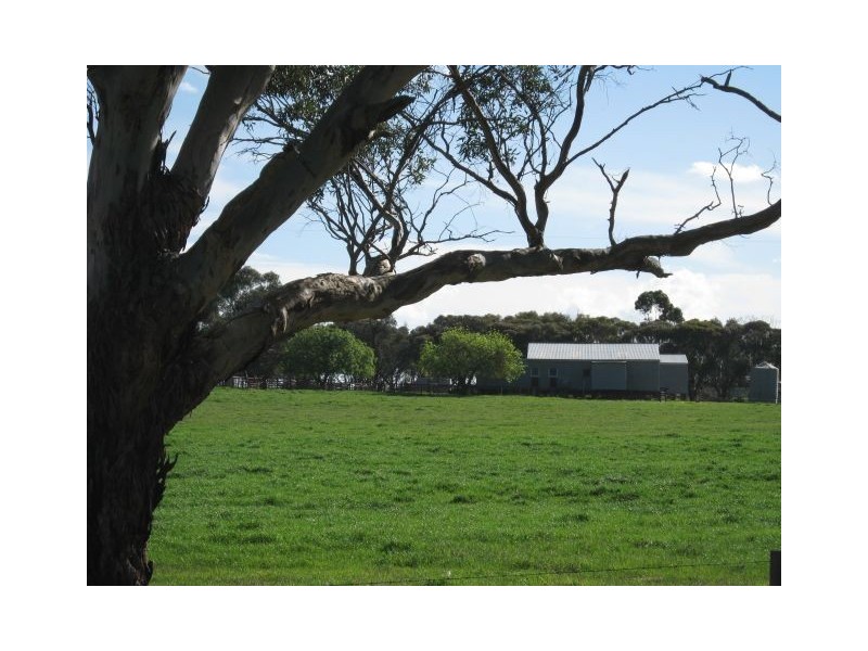 Lot 3, 175 Golf Course Road, Bordertown SA 5268