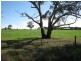Lot 3, 175 Golf Course Road, Bordertown SA 5268