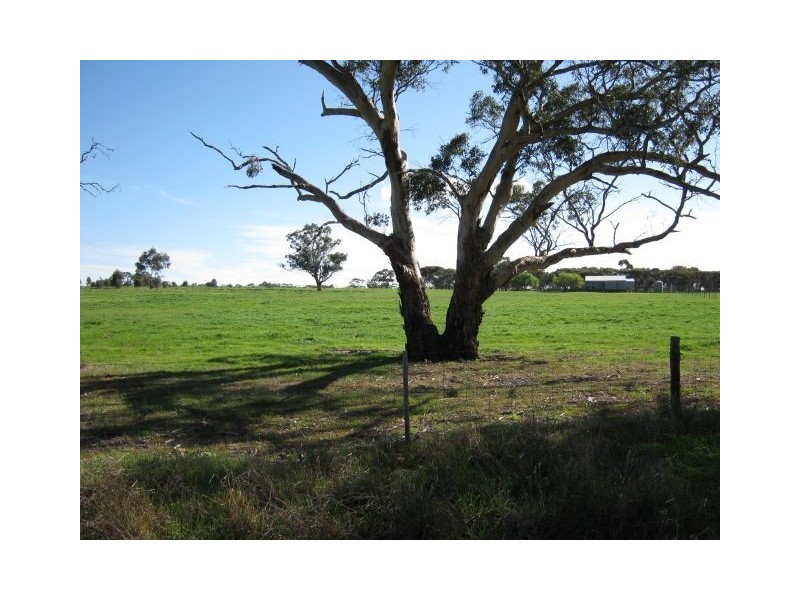 Lot 3, 175 Golf Course Road, Bordertown SA 5268