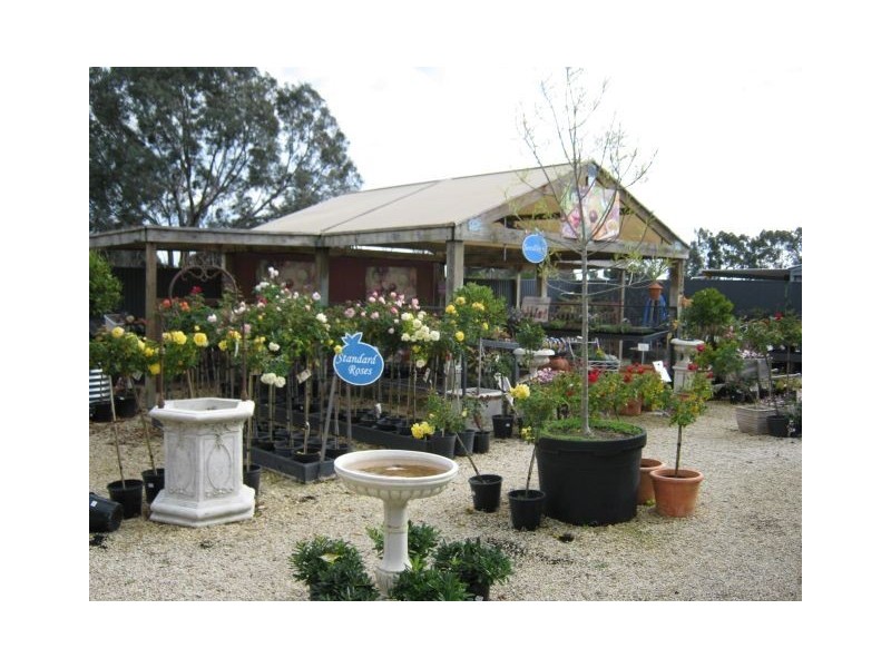 117 Park Tce, Bordertown SA 5268