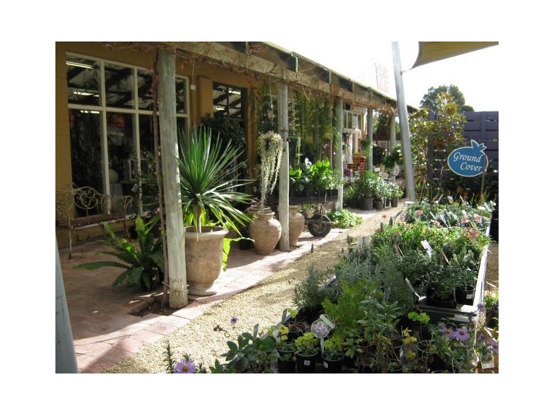 117 Park Tce, Bordertown SA 5268