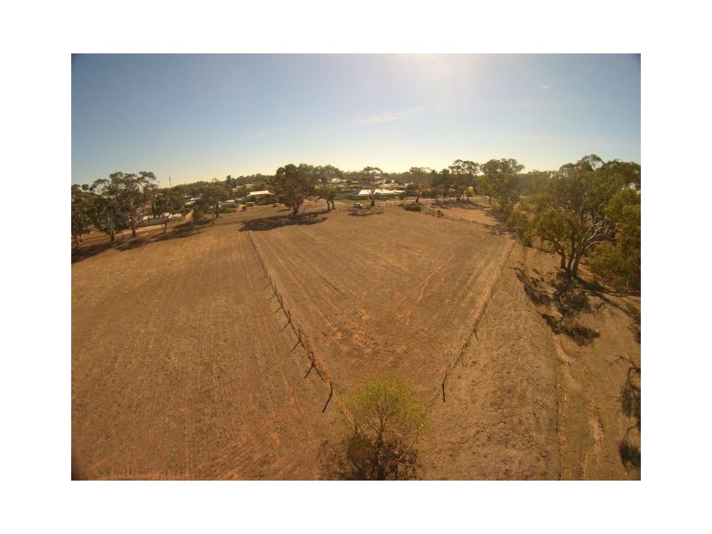 Lot 37 South Avenue, Bordertown SA 5268