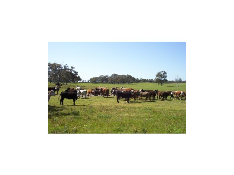 1 Marwoods Road, Kingston Se SA 5275