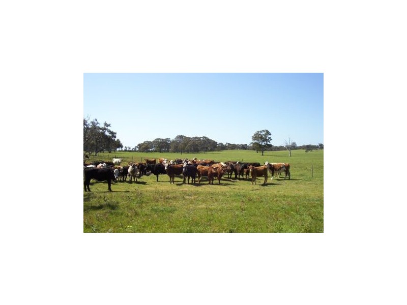 1 Marwoods Road, Kingston Se SA 5275