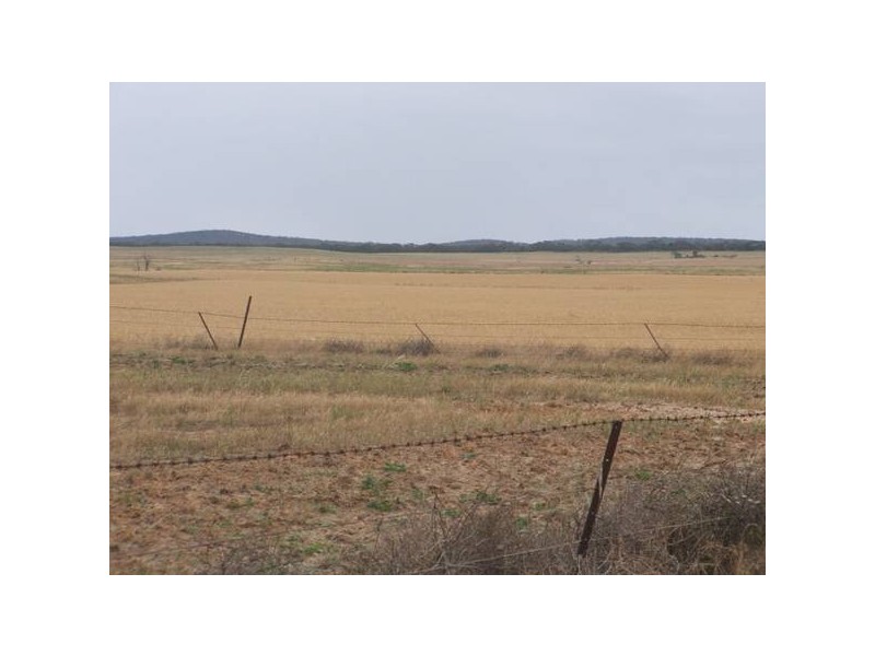 1 Mallee Highway, Parrakie SA 5301