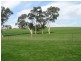 1 Leaches Road, Bordertown SA 5268