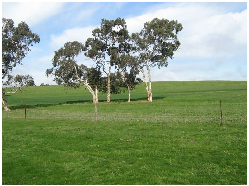 1 Leaches Road, Bordertown SA 5268