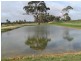 1 Leaches Road, Bordertown SA 5268