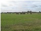 1 Leaches Road, Bordertown SA 5268