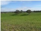 1 Leaches Road, Bordertown SA 5268