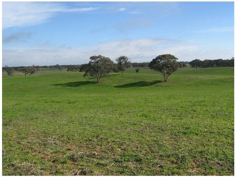 1 Leaches Road, Bordertown SA 5268