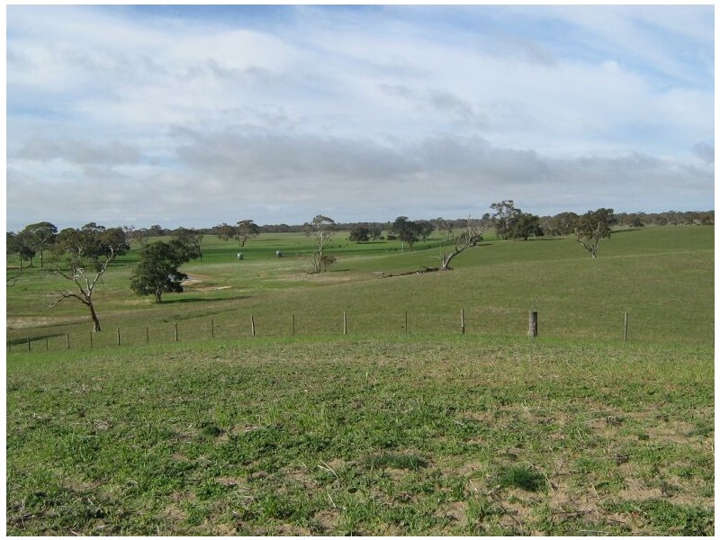 1 Leaches Road, Bordertown SA 5268