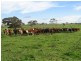1 Leaches Road, Bordertown SA 5268