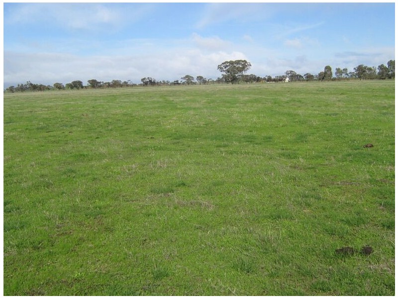1 Leaches Road, Bordertown SA 5268
