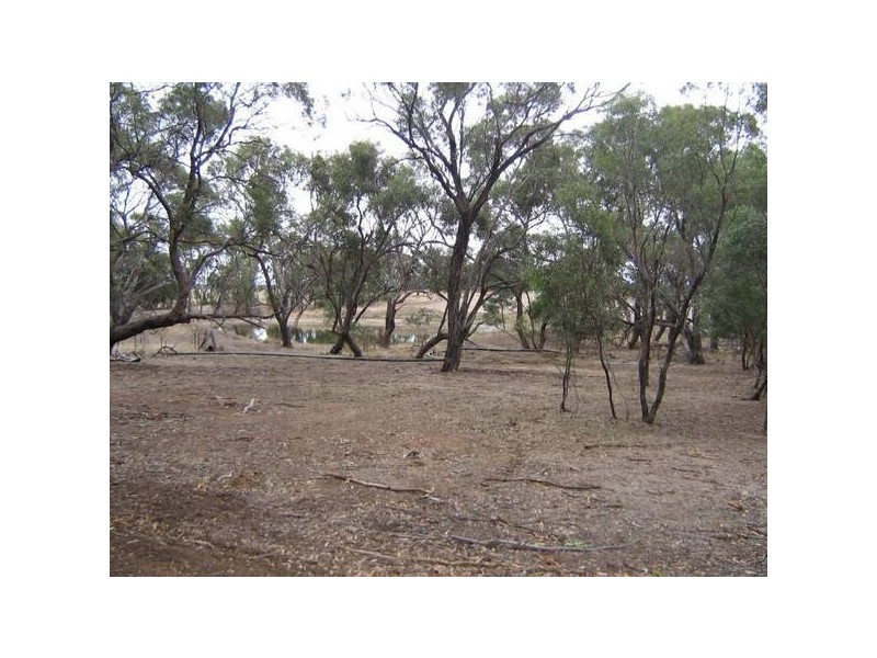 Lot 101 Pine Hill Road, Bordertown SA 5268