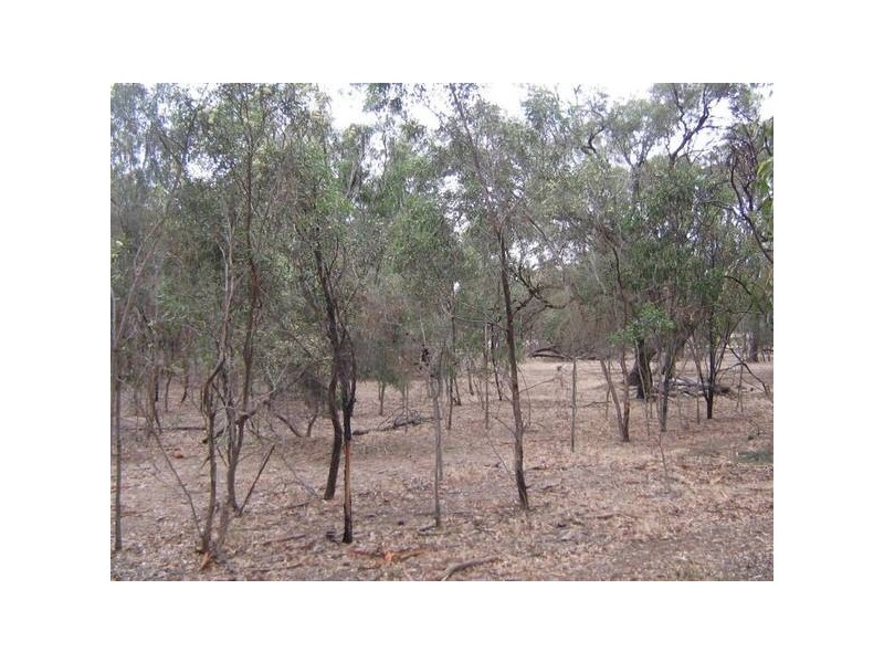 Lot 101 Pine Hill Road, Bordertown SA 5268