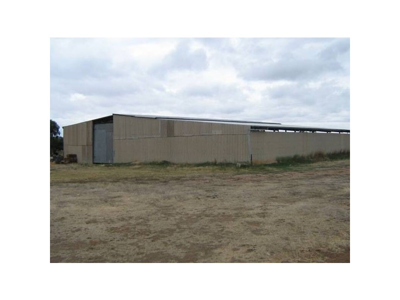 Lot 101 Pine Hill Road, Bordertown SA 5268