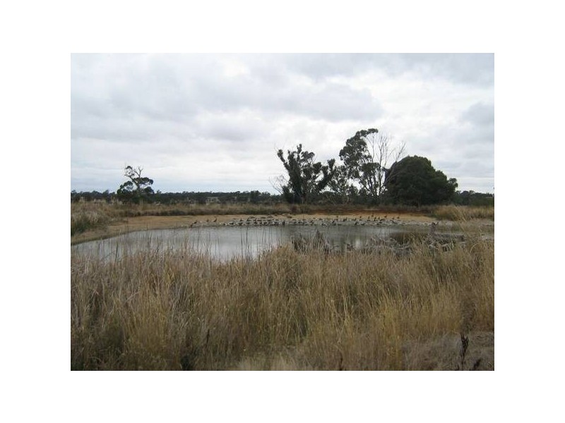 Lot 101 Pine Hill Road, Bordertown SA 5268