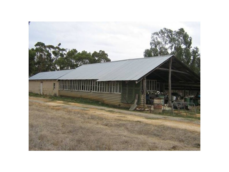 Lot 101 Pine Hill Road, Bordertown SA 5268