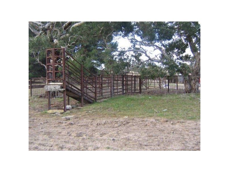 Sec 373 Old Stone Tank Road, Mundulla SA 5270