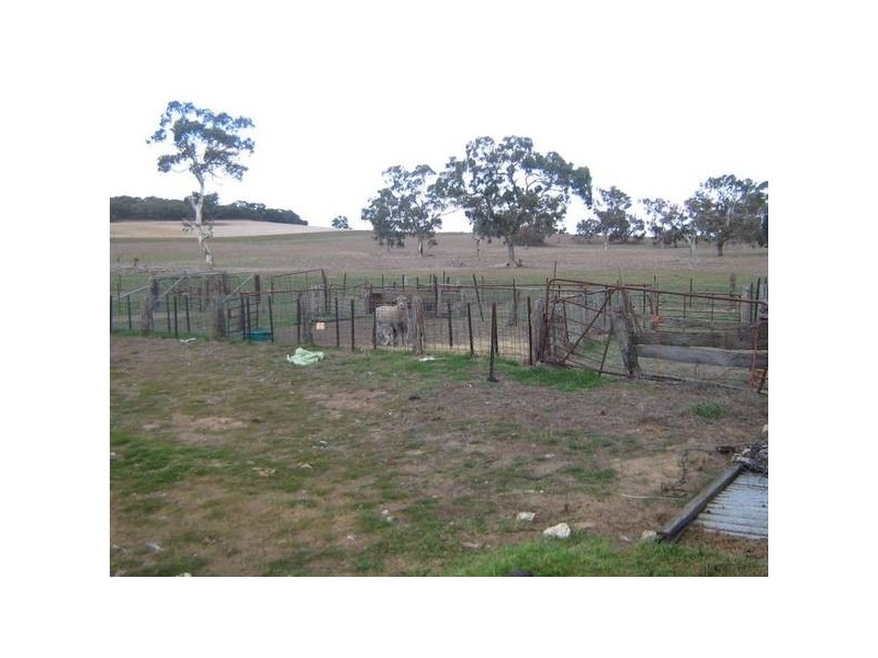 Sec 373 Old Stone Tank Road, Mundulla SA 5270