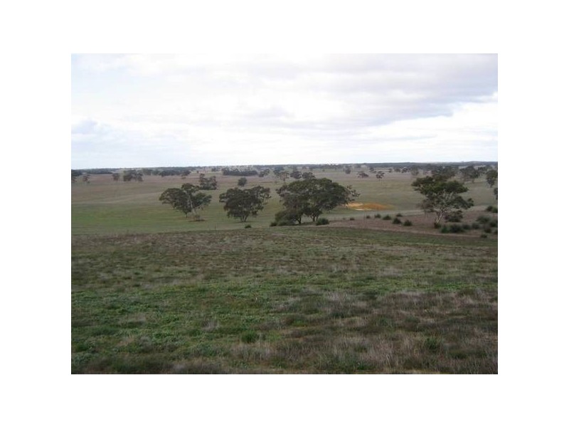 Sec 373 Old Stone Tank Road, Mundulla SA 5270