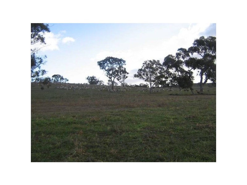 Sec 373 Old Stone Tank Road, Mundulla SA 5270