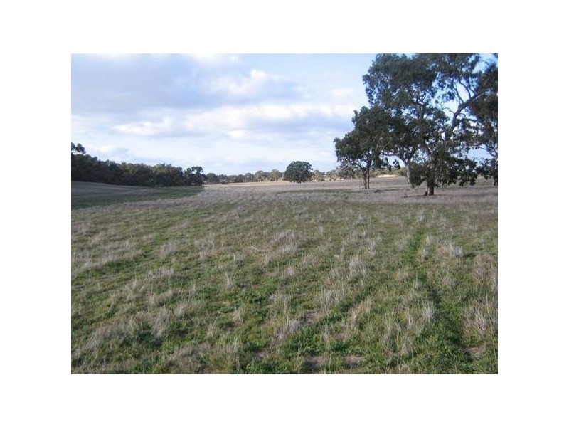 Sec 373 Old Stone Tank Road, Mundulla SA 5270