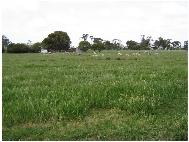 - Punjum Road, Mundulla SA 5270