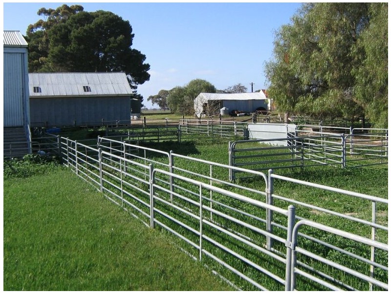 Cannawigara Road, Bordertown SA 5268