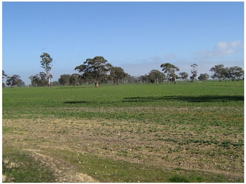 Cannawigara Road, Bordertown SA 5268