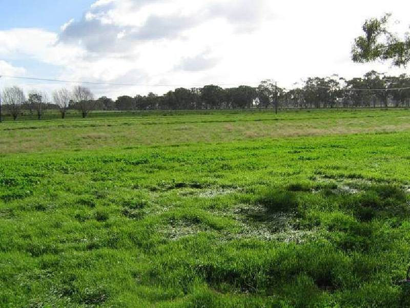 Lot 28 Emu Flat Road, Bordertown SA 5268