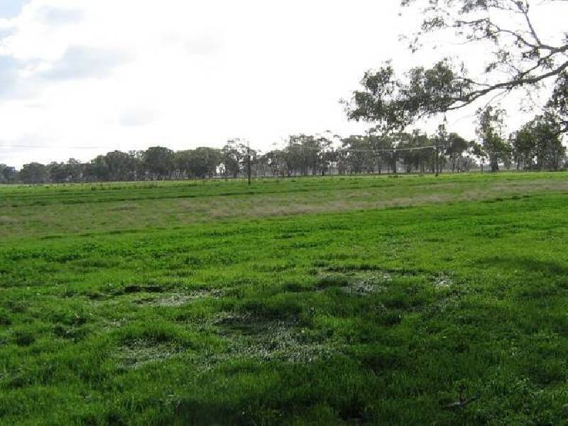 Lot 28 Emu Flat Road, Bordertown SA 5268